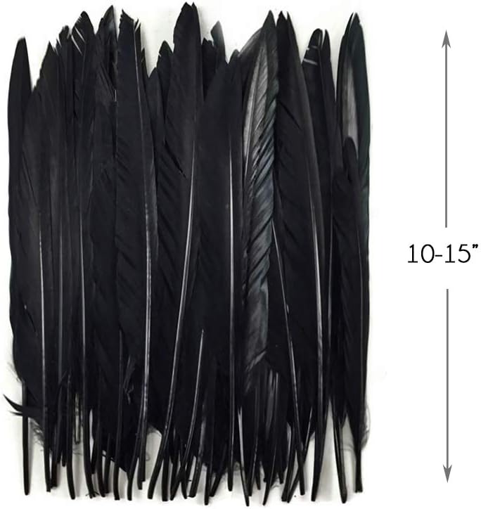 1/4 Lb. - Black Goose Pointers Long Primaries Wing Wholesale Feathers (Bulk)