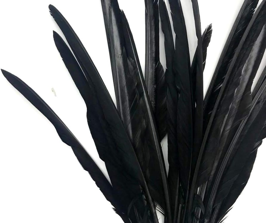 1/4 Lb. - Black Goose Pointers Long Primaries Wing Wholesale Feathers (Bulk)