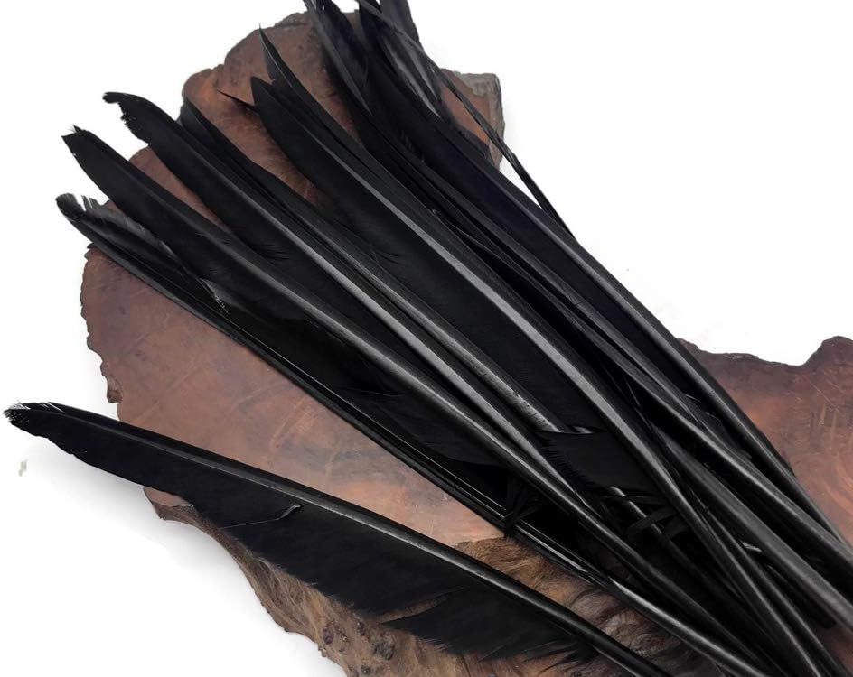 1/4 Lb. - Black Goose Pointers Long Primaries Wing Wholesale Feathers (Bulk)