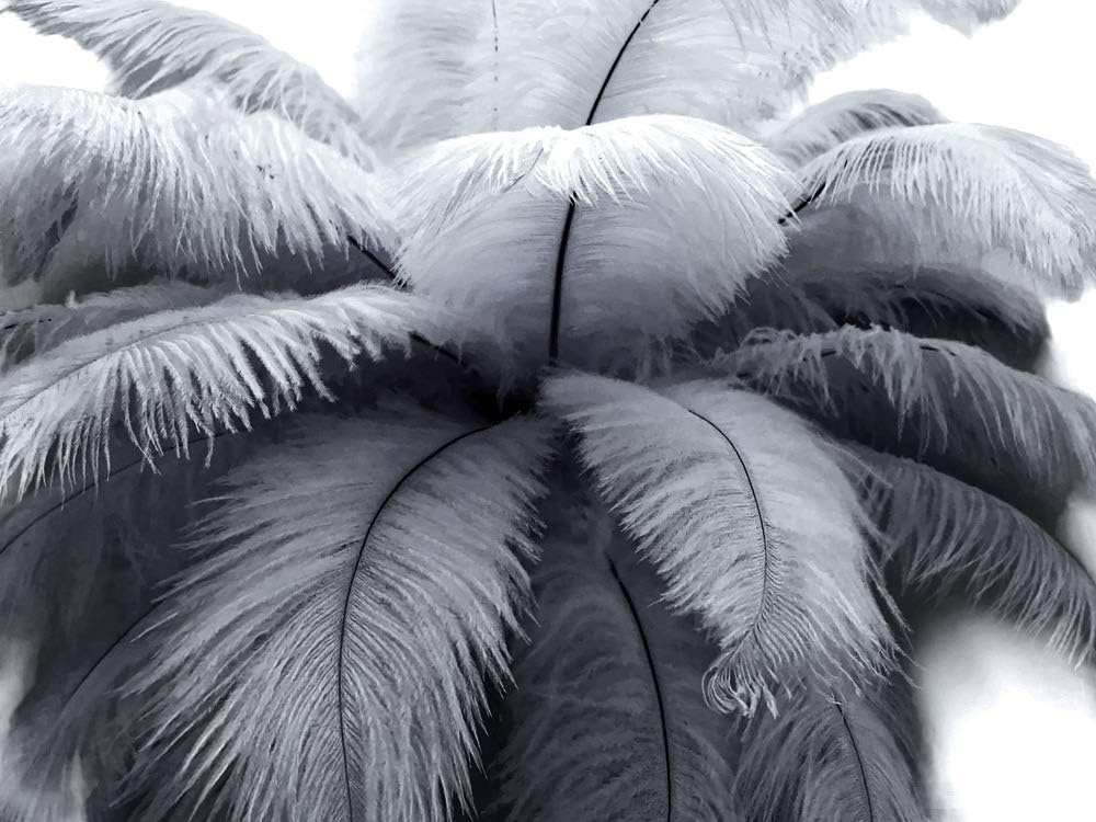 100 Pieces - 8-10" Silver Gray Ostrich Dyed Drab Body Wholesale Feathers (Bulk)