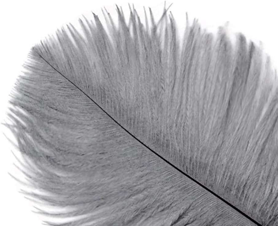 100 Pieces - 8-10" Silver Gray Ostrich Dyed Drab Body Wholesale Feathers (Bulk)