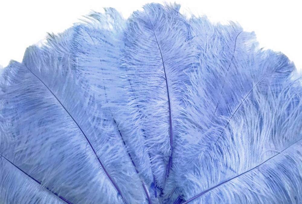 1/2 Lb. - 19-24" Light Blue Ostrich Extra Long Drab Wholesale Feathers (Bulk)