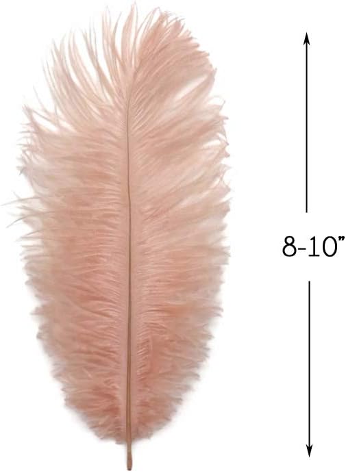 100 Pieces - 8-10" Champagne Ostrich Dyed Drab Body Wholesale Feathers (Bulk)