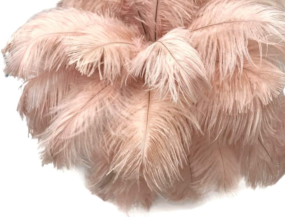 100 Pieces - 8-10" Champagne Ostrich Dyed Drab Body Wholesale Feathers (Bulk)