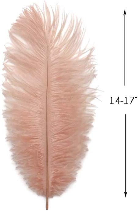 10 Pieces - 14-17" Champagne Ostrich Dyed Drab Large Body Feathers