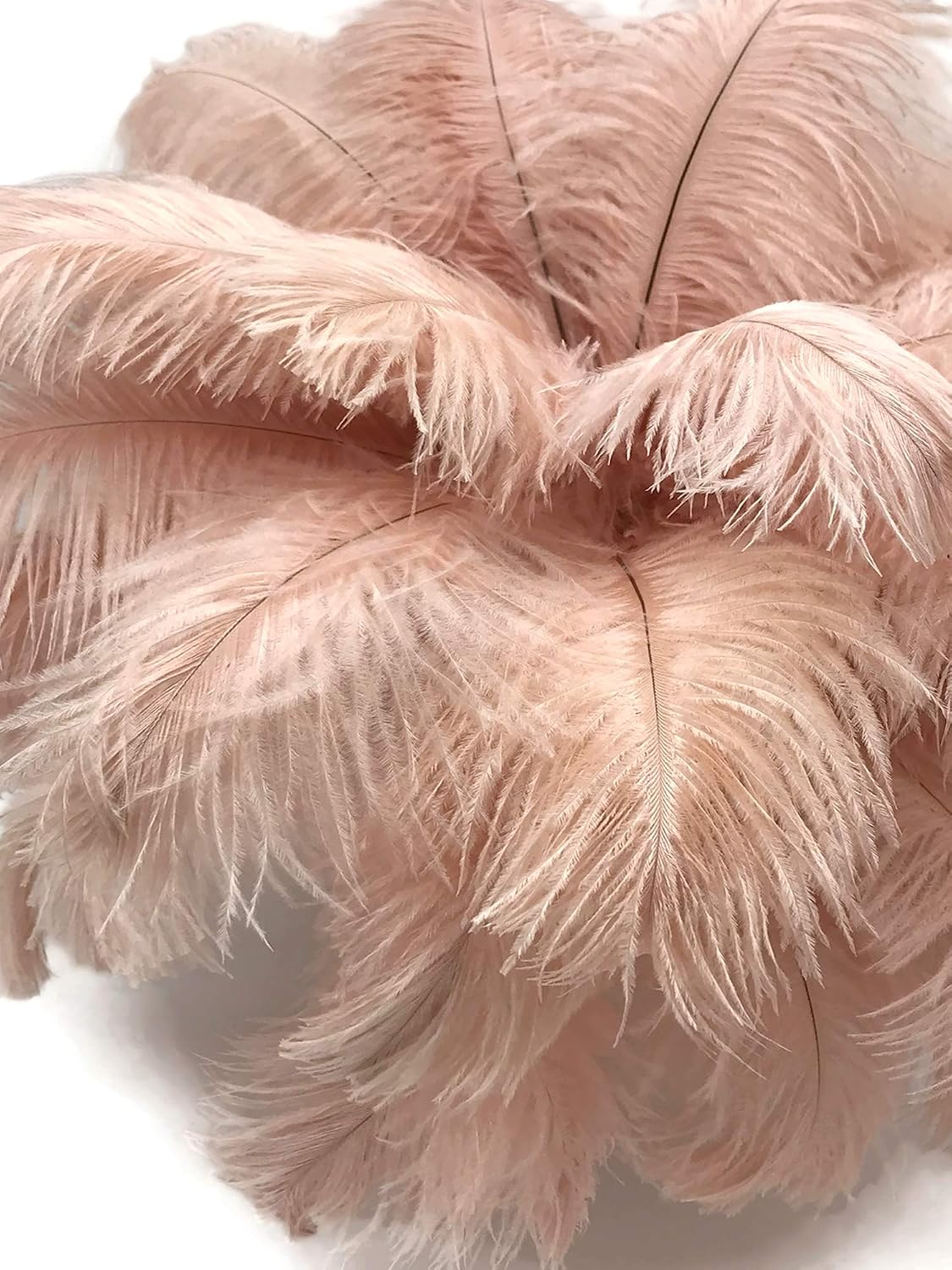 10 Pieces - 14-17" Champagne Ostrich Dyed Drab Large Body Feathers