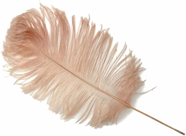 10 Pieces -  12-16" Champagne Dyed Ostrich Tail Fancy Feathers