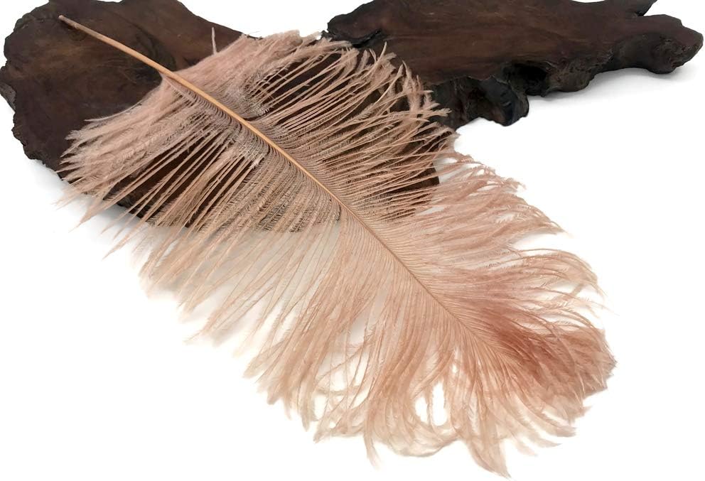 1/2 Lb - 12-16" Champagne Ostrich Tail Wholesale Fancy Feathers (Bulk)
