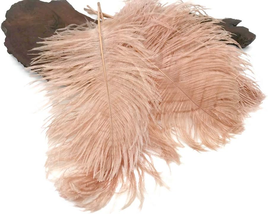 1/2 Lb - 12-16" Champagne Ostrich Tail Wholesale Fancy Feathers (Bulk)