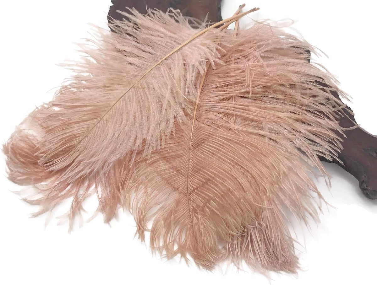 1/2 Lb - 12-16" Champagne Ostrich Tail Wholesale Fancy Feathers (Bulk)