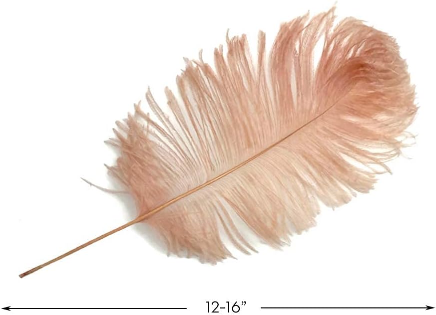 10 Pieces -  12-16" Champagne Dyed Ostrich Tail Fancy Feathers
