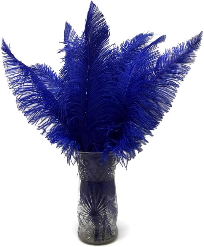 1/2 Lb - Royal Blue Large Ostrich Spads Wholesale Feathers 20-28" (Bulk)