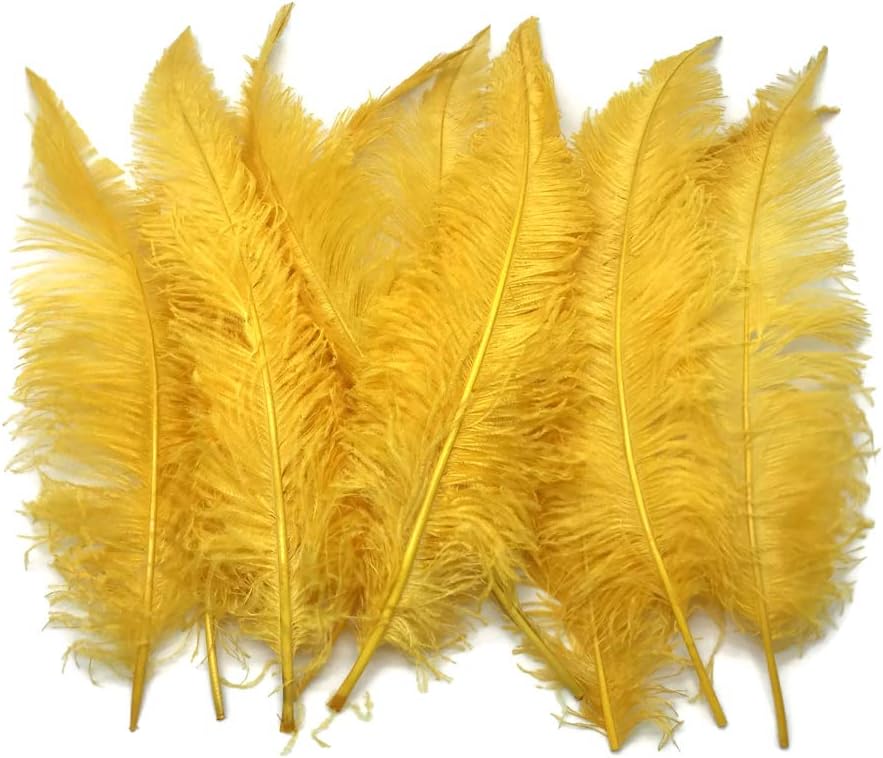 10 Pieces - 20-28" Golden Yellow Ostrich Spads Large Wing Feathers
