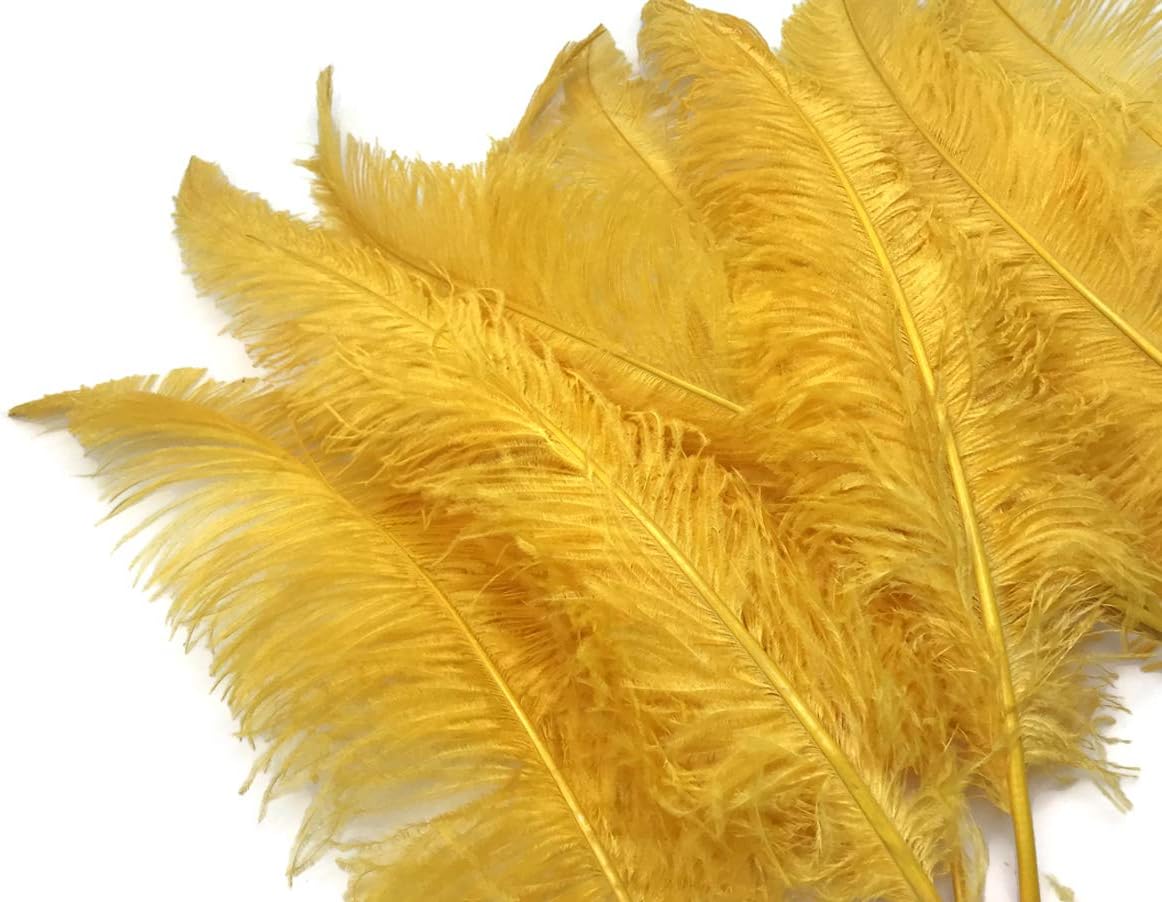 10 Pieces - 20-28" Golden Yellow Ostrich Spads Large Wing Feathers