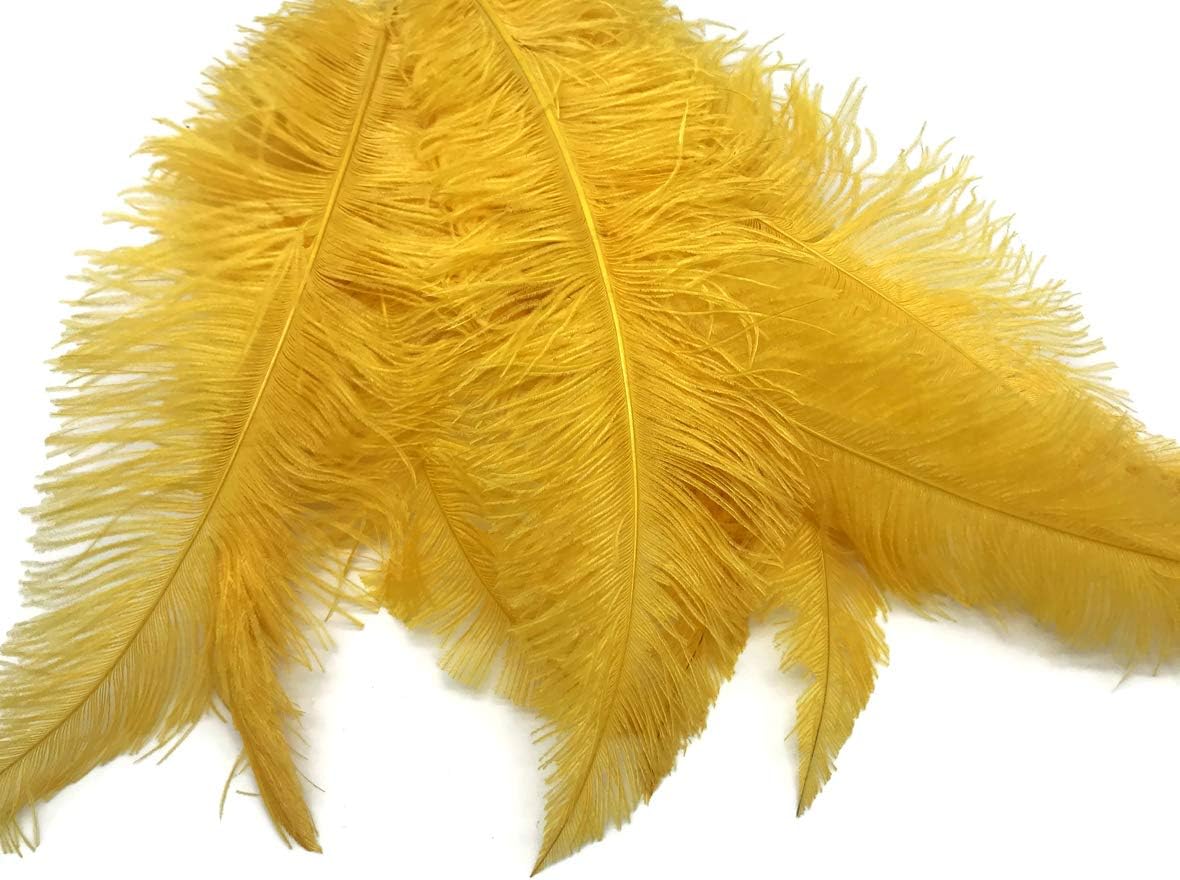 10 Pieces - 20-28" Golden Yellow Ostrich Spads Large Wing Feathers