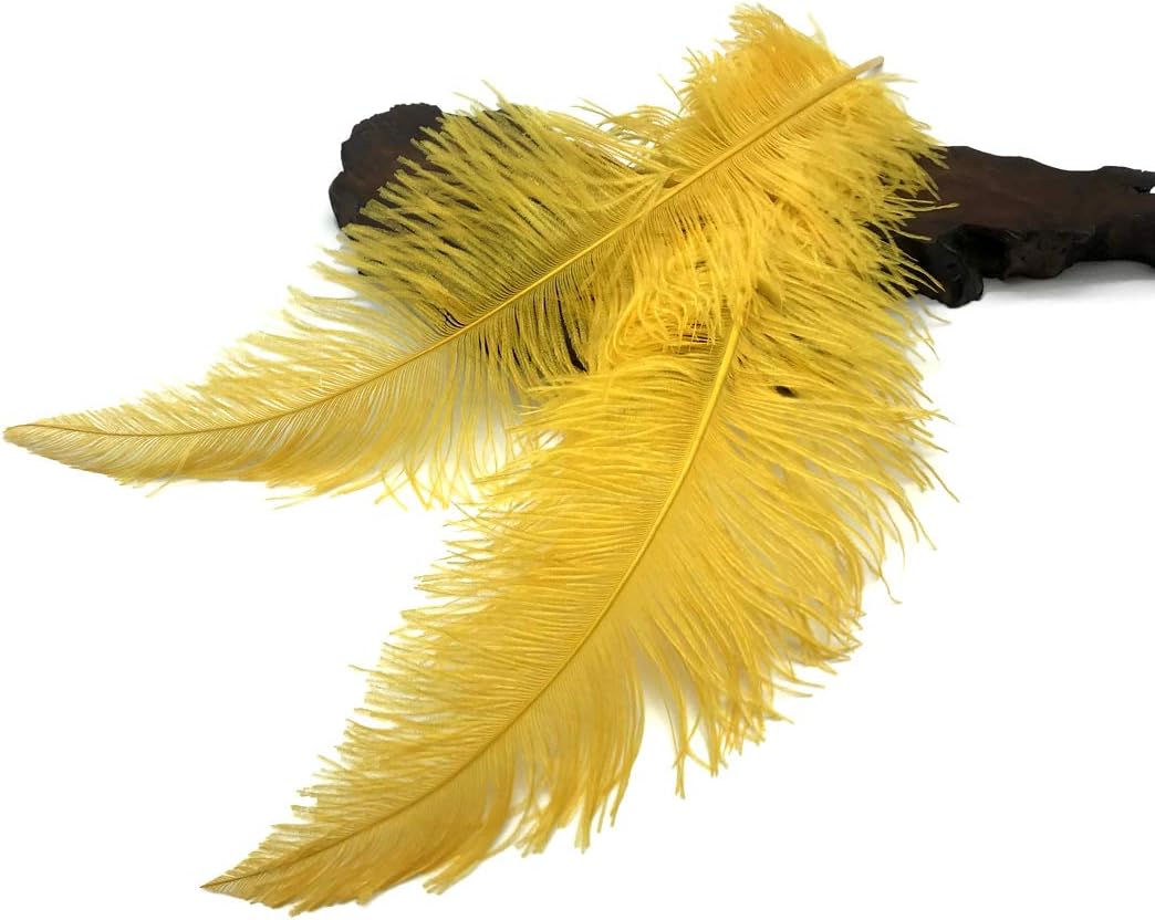 10 Pieces - 20-28" Golden Yellow Ostrich Spads Large Wing Feathers