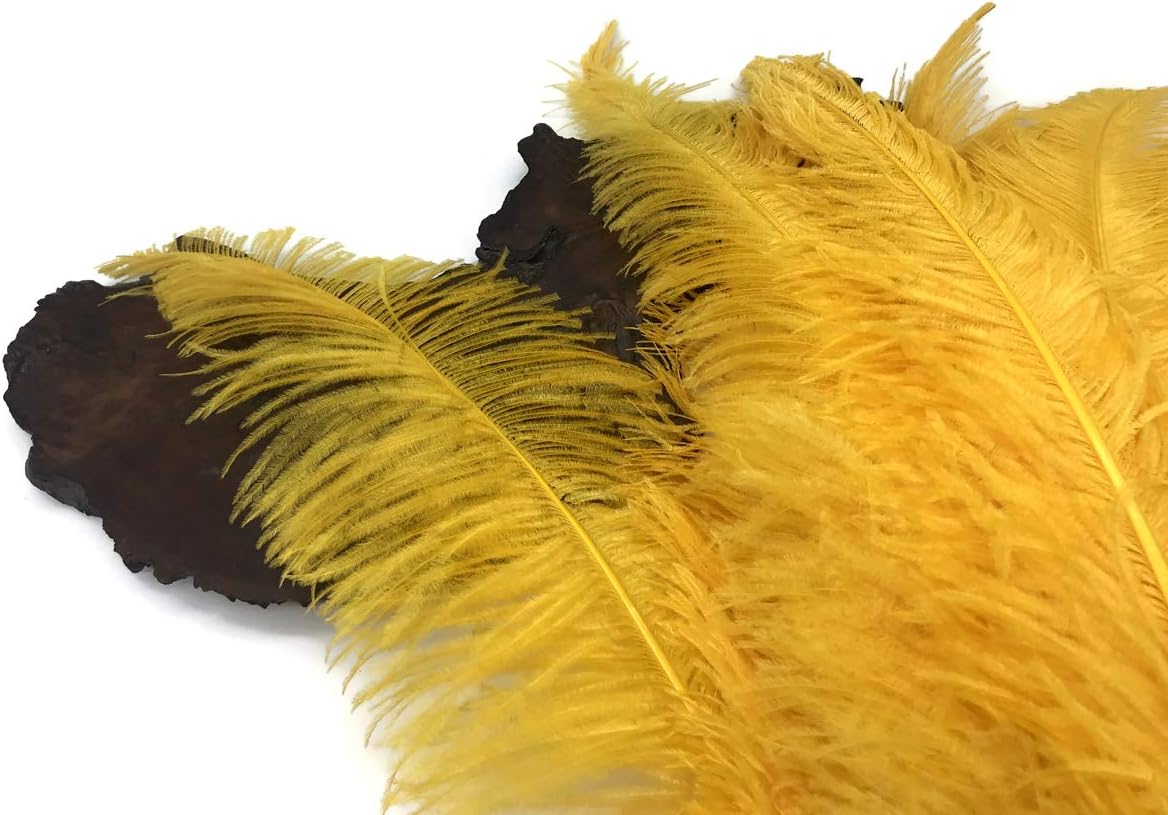1/2 Lb - Golden Yellow Large Ostrich Spads Wholesale Feathers 20-28" (Bulk)