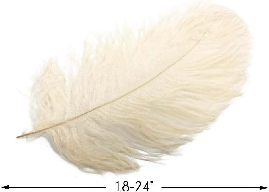 10 Pieces - 18-24" Cream Large Prime Grade Ostrich Wing Plume Centerpiece Feathers