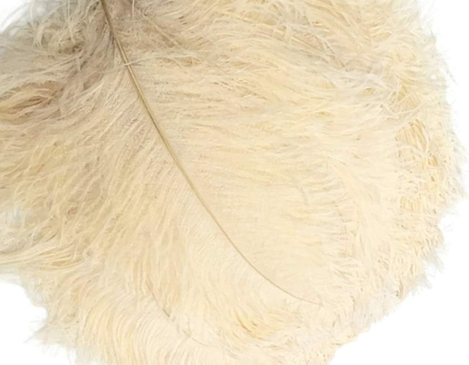 10 Pieces - 18-24" Cream Large Prime Grade Ostrich Wing Plume Centerpiece Feathers