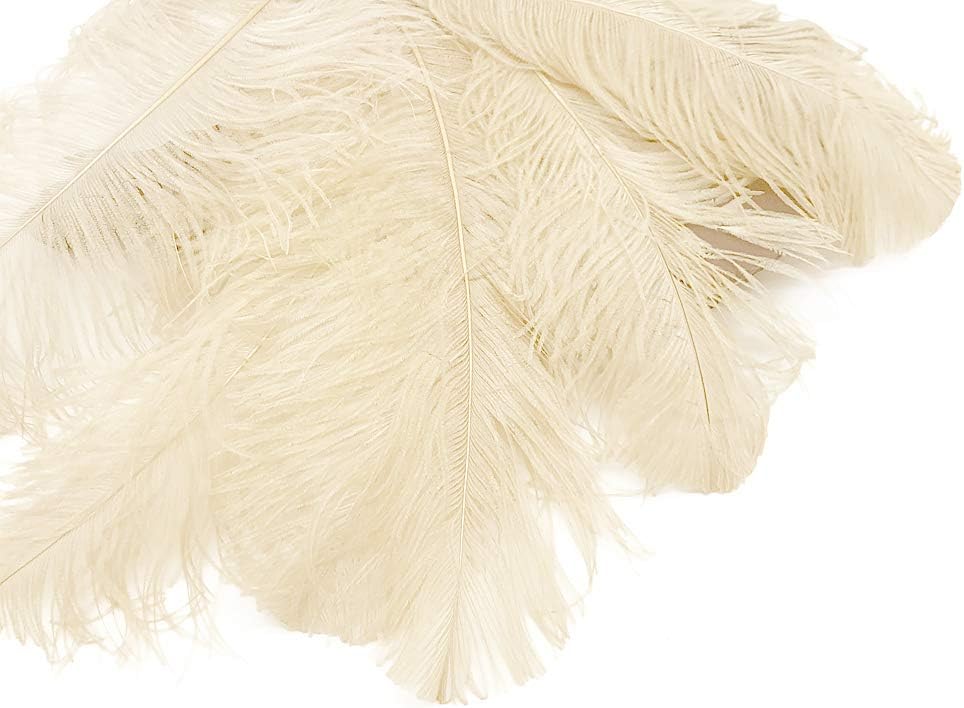 10 Pieces - 18-24" Cream Large Prime Grade Ostrich Wing Plume Centerpiece Feathers