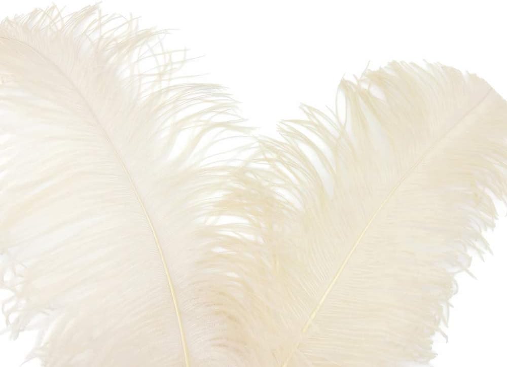 10 Pieces - 18-24" Cream Large Prime Grade Ostrich Wing Plume Centerpiece Feathers