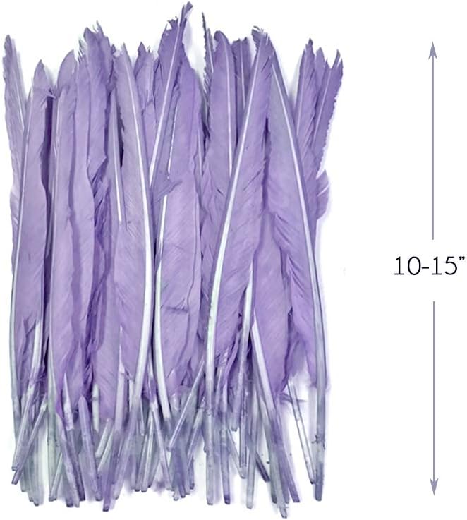 1/4 Lb. - Lavender Goose Pointers Long Primaries Wing Wholesale Feathers (Bulk)