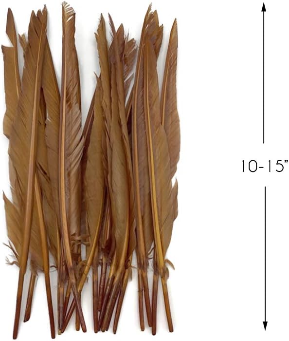 1/4 Lb. - Light Brown Goose Pointers Long Primaries Wing Wholesale Feathers (Bulk)
