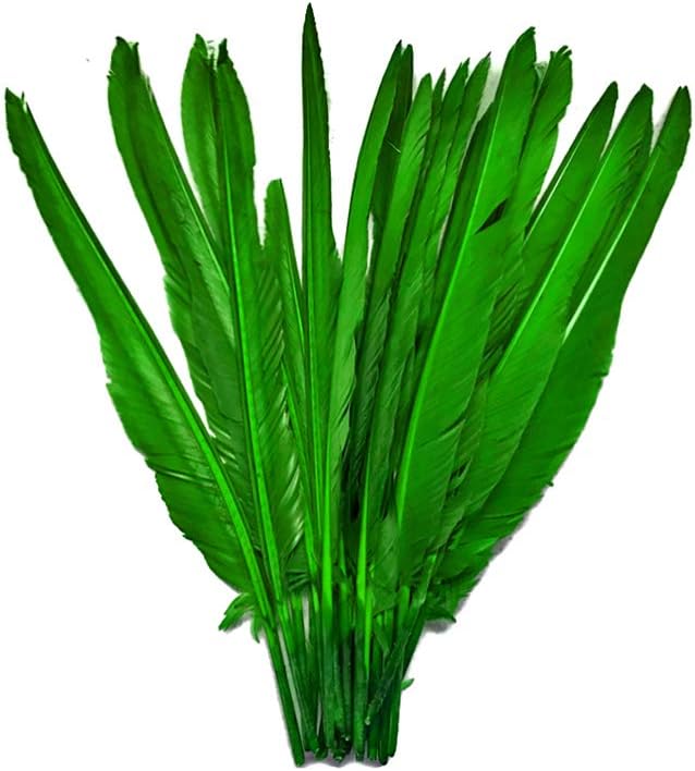 1/4 Lb. - Kelly Green Goose Pointers Long Primaries Wing Wholesale Feathers (Bulk)