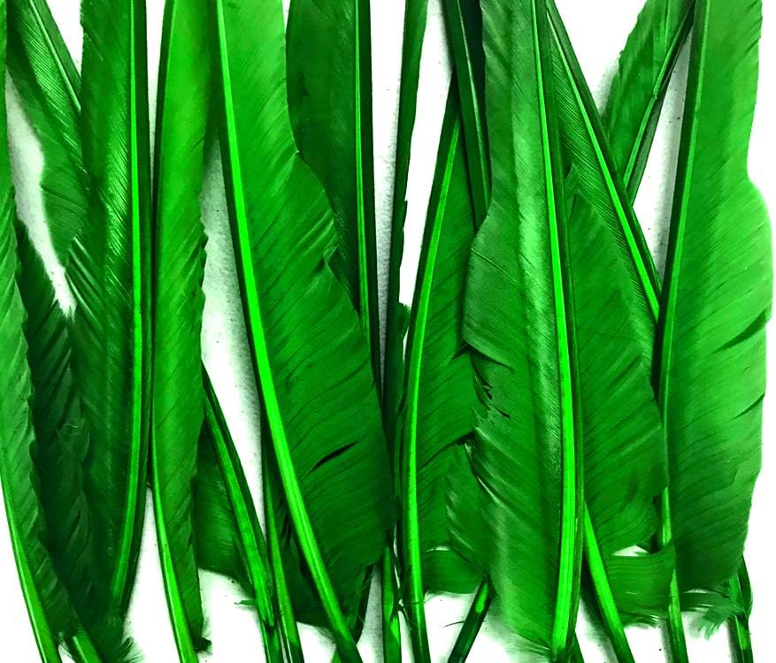 1/4 Lb. - Kelly Green Goose Pointers Long Primaries Wing Wholesale Feathers (Bulk)