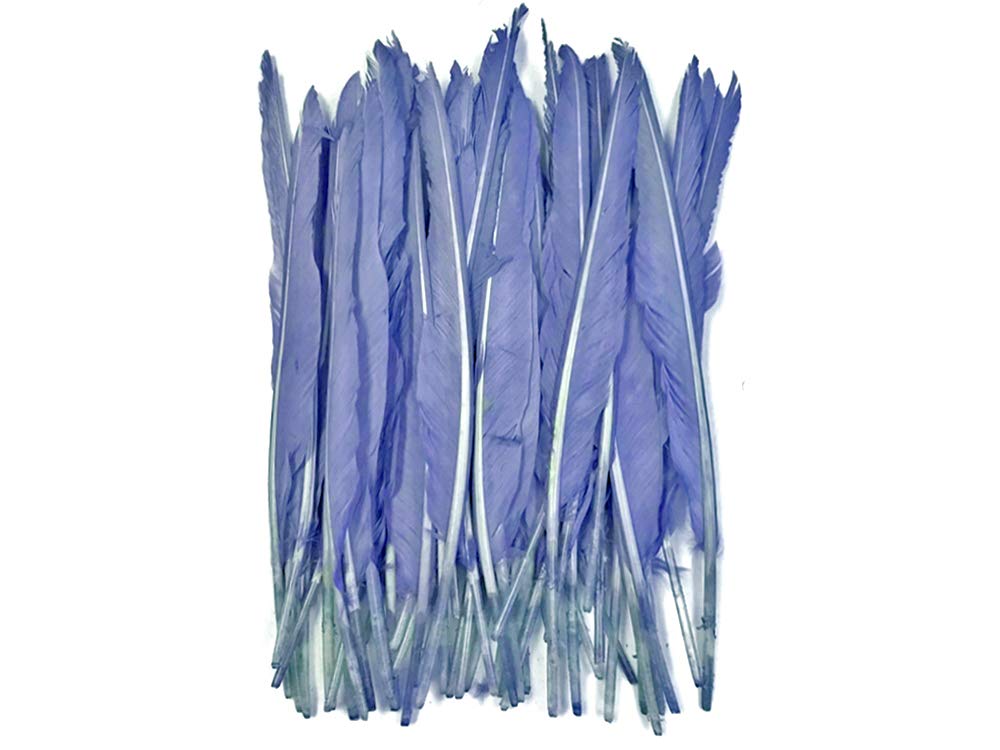 1/4 Lb. - Robin's Egg Blue Goose Pointers Long Primaries Wing Wholesale Feathers (Bulk)