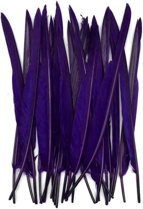 1/4 Lb. - Purple Goose Pointers Long Primaries Wing Wholesale Feathers (Bulk)