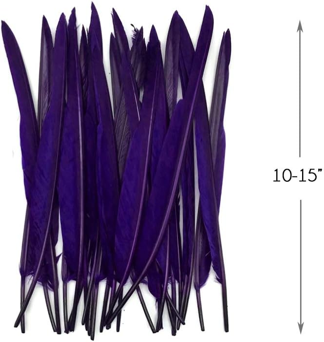 1/4 Lb. - Purple Goose Pointers Long Primaries Wing Wholesale Feathers (Bulk)