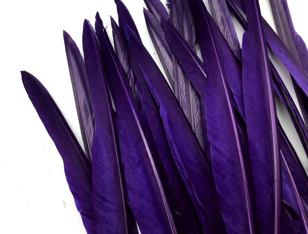 1/4 Lb. - Purple Goose Pointers Long Primaries Wing Wholesale Feathers (Bulk)