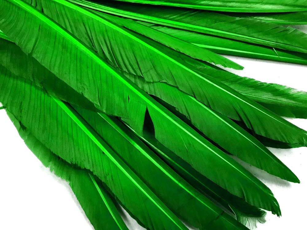 10 Pieces - Kelly Green Goose Pointers Long Primaries Wing Feathers