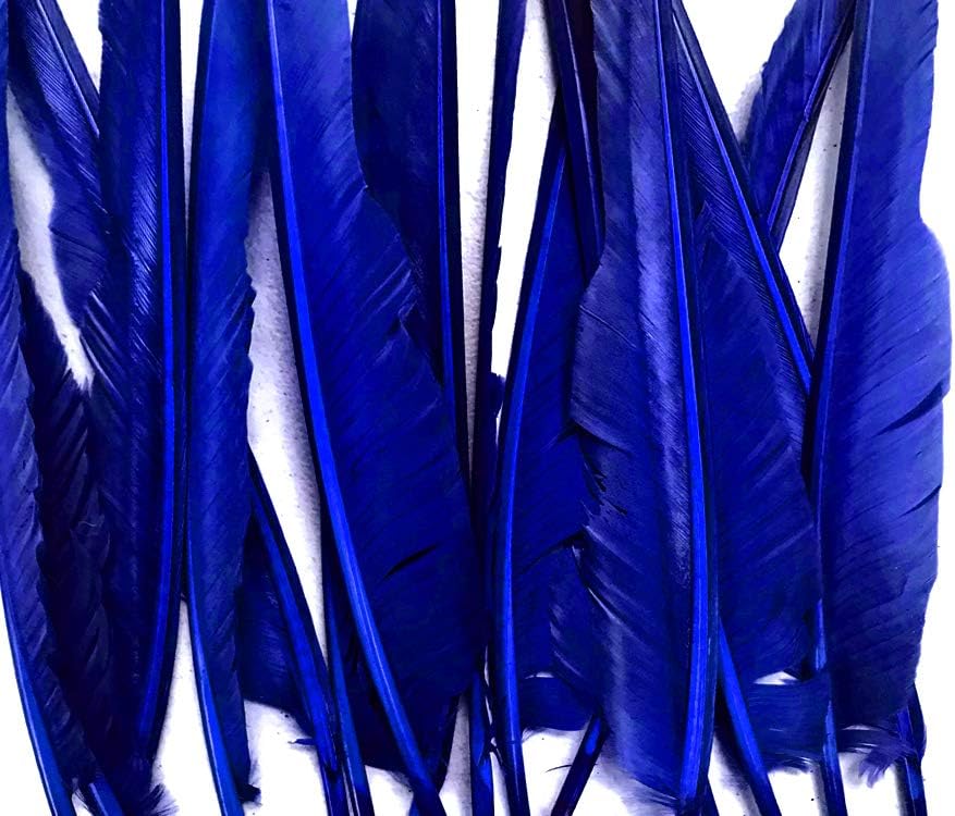 1/4 Lb. - Royal Blue Goose Pointers Long Primaries Wing Wholesale Feathers (Bulk)