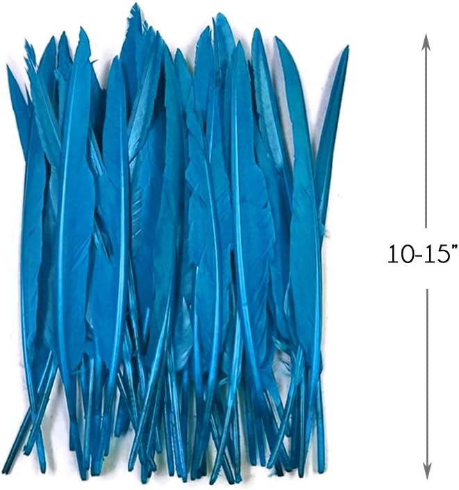 10 Pieces - Turquoise Blue Goose Pointers Long Primaries Wing Feathers