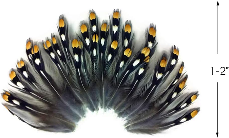 10 Pieces - Small Natural Gold Jungle Cock Eye Loose Feather