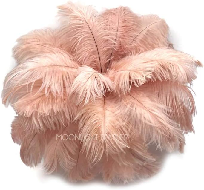 100 Pieces - 11-13" Champagne Ostrich Drabs Wholesale Body Feathers (Bulk)