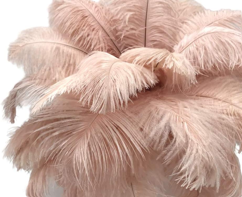 100 Pieces - 11-13" Champagne Ostrich Drabs Wholesale Body Feathers (Bulk)