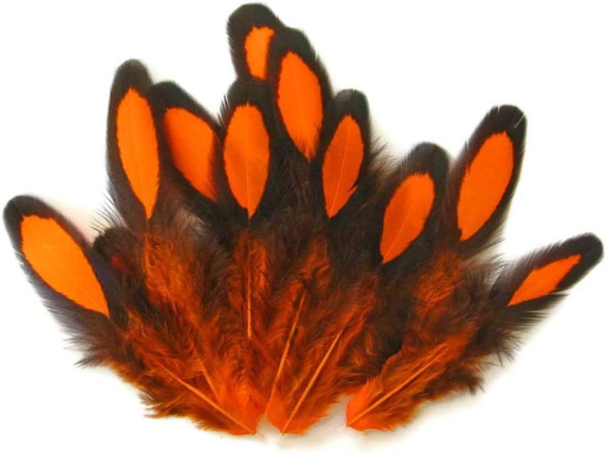 1 Dozen - Orange Whiting Farms Laced Hen Saddle Feathers
