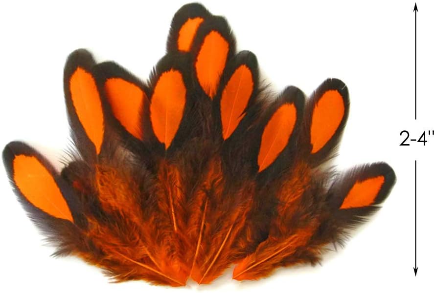 1 Dozen - Orange Whiting Farms Laced Hen Saddle Feathers