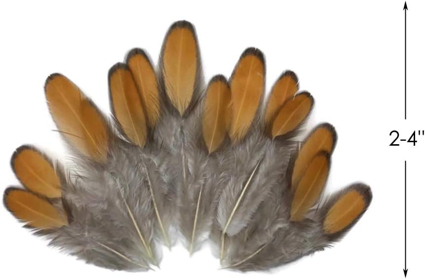 1 Dozen - Golden Brown Whiting Farms Laced Hen Saddle Feathers