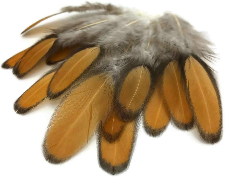 1 Dozen - Golden Brown Whiting Farms Laced Hen Saddle Feathers