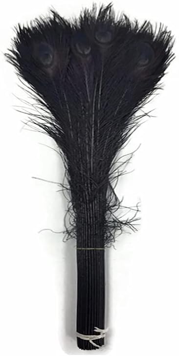 50 Pieces - 20-25" Black Bleached & Dyed Peacock Tail Eye Wholesale Feathers (Bulk)