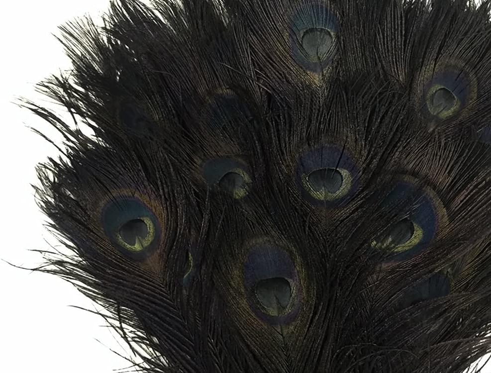 50 Pieces - 30-35" Black Bleached & Dyed Peacock Tail Eye Wholesale Feathers (Bulk)