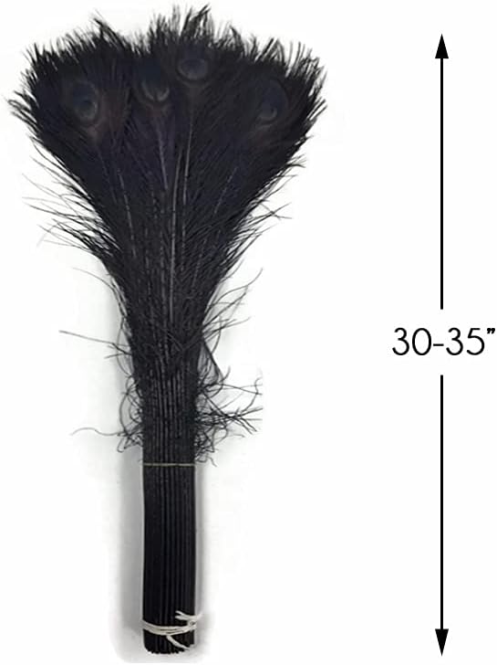 50 Pieces - 30-35" Black Bleached & Dyed Peacock Tail Eye Wholesale Feathers (Bulk)