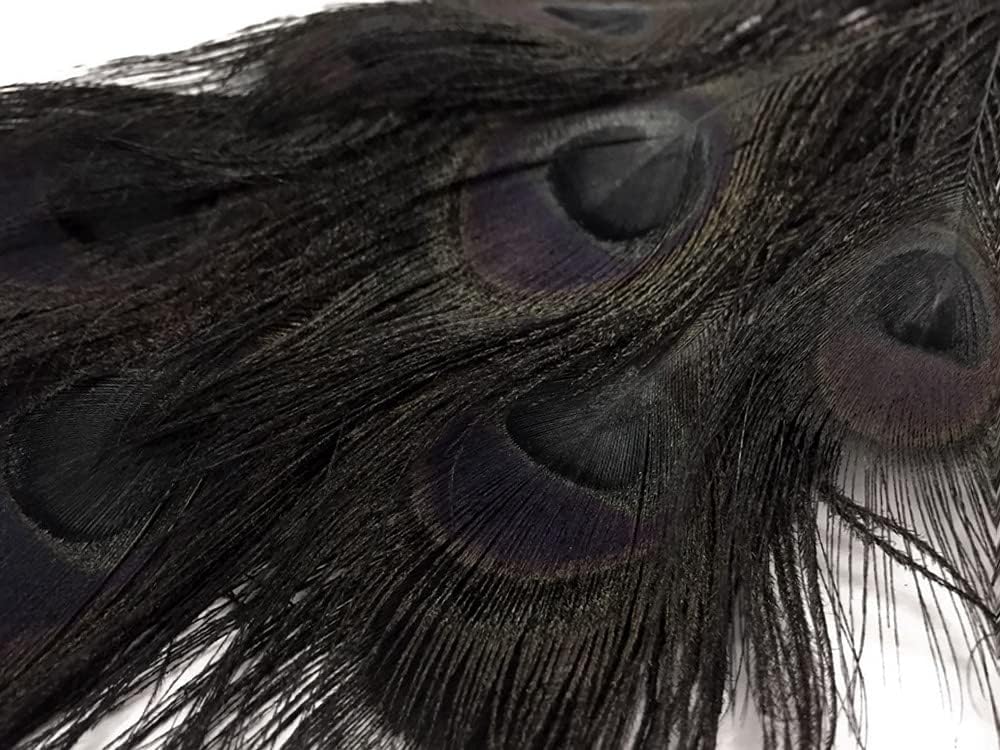 50 Pieces - 30-35" Black Bleached & Dyed Peacock Tail Eye Wholesale Feathers (Bulk)