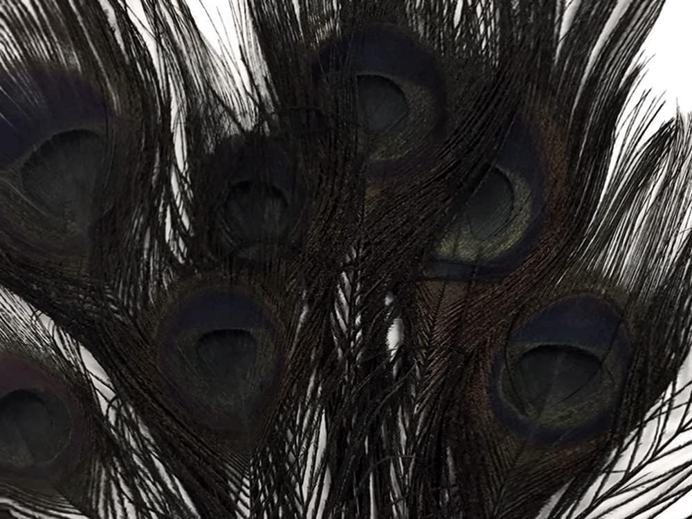 50 Pieces - 20-25" Black Bleached & Dyed Peacock Tail Eye Wholesale Feathers (Bulk)