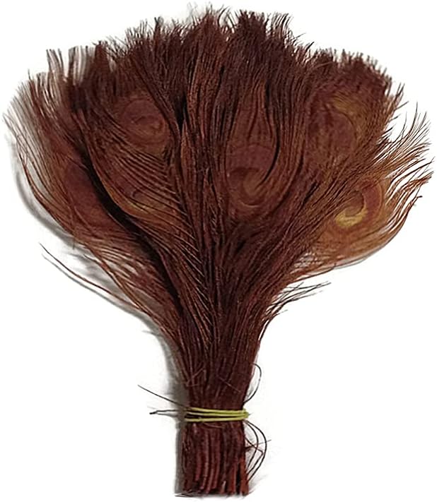 100 Pieces – Chocolate Brown Bleached & Dyed Peacock Tail Eye Wholesale Feathers (Bulk) 10-12” Long