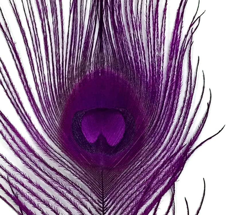 50 Pieces – Purple Bleached & Dyed Peacock Tail Eye Wholesale Feathers (Bulk) 10-12” Long